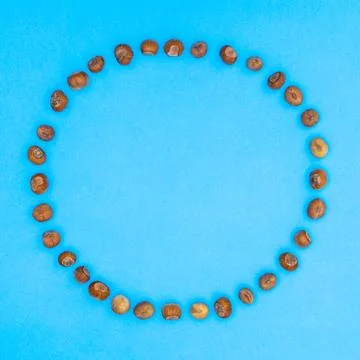Hazelnuts circle copy space frame on vibrant blue background. Creative flat l Stock Illustration
