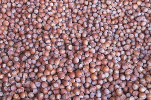 Hazelnuts close-up as a background for the whole frame 스톡 사진