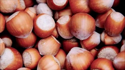 Hazelnuts, close-up Stock Footage 77863006