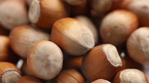 Hazelnuts close up. heap or stack of hazelnuts. Hazelnut background, healty food Stock Footage 262637414