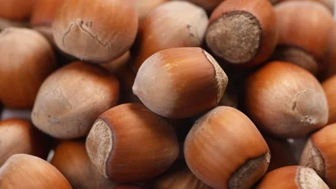 Hazelnuts close up. heap or stack of hazelnuts. Hazelnut background, healty food Stock Footage 264294158
