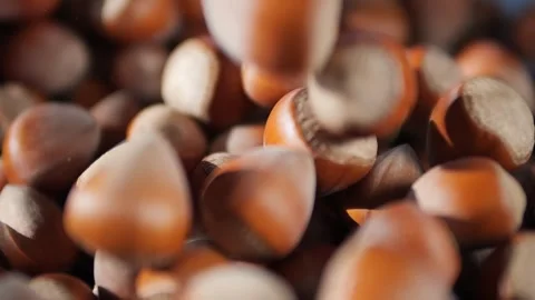 Hazelnuts close-up. Nuts in the shell fall and roll. Product for sweet dess.. Stock Footage 296185792