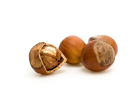 Hazelnuts close up Stock Photos