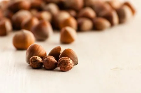Hazelnuts close up Stock Photos