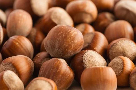 Hazelnuts close up Stock Photos