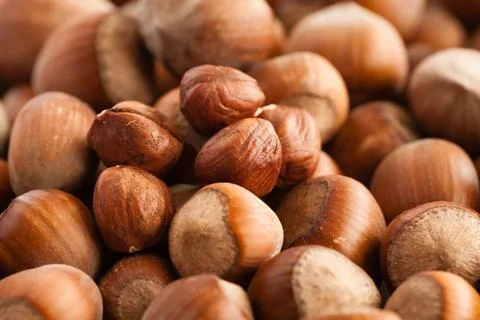 Hazelnuts close up Stock Photos
