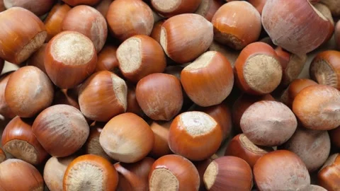 Hazelnuts close up. Top view. Stock Footage 140414945