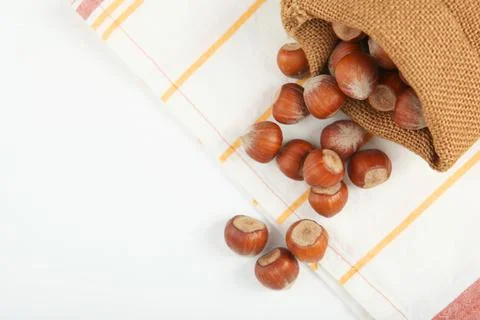 Hazelnuts close up on white background Stock Photos