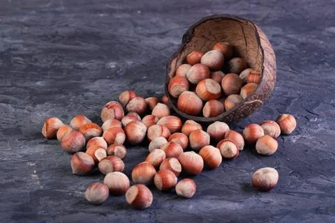 Hazelnuts in coconut shells scattered on a concrete background Stock Photos