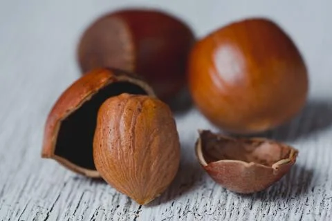 Hazelnuts with cracked shells lie on an old wooden white table,  with cracked Stock Photos