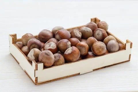 Hazelnuts in a decorative box Stock Photos