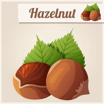 Hazelnuts. Detailed Vector Icon Stock Illustration