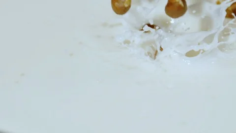 Hazelnuts dropping into milk, Ultra Slow Motion Video stock 86577515