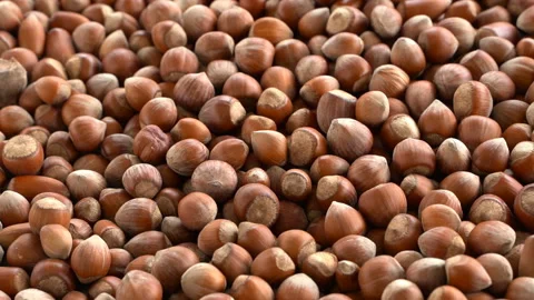 Hazelnuts fall to the ground in slow motion. slow motion nuts. Stock Footage 132752701