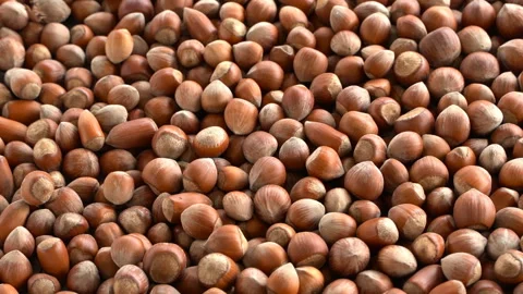 Hazelnuts fall to the ground in slow motion. slow motion nuts Stock Footage 132753086