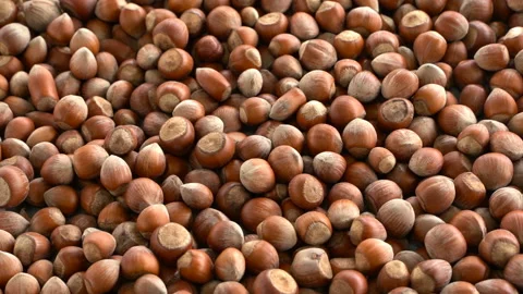Hazelnuts fall to the ground in slow motion. slow motion nuts. Stock Footage 132753541