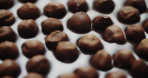 Hazelnuts fall on melted chocolate surface, handmade chocolate bar, dessert Stock Footage 151558890