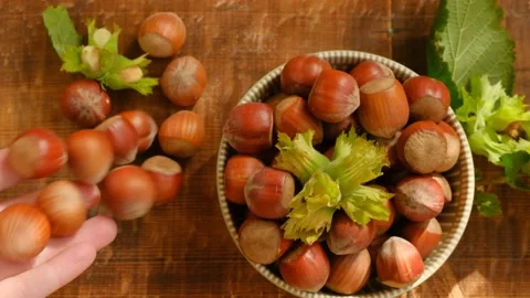 Hazelnuts fall on the table. Nut harvest. nuts plate and green nuts with leaves Stock Footage 159868319