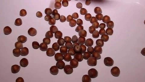 Hazelnuts Falling Down Stock Footage 73488004
