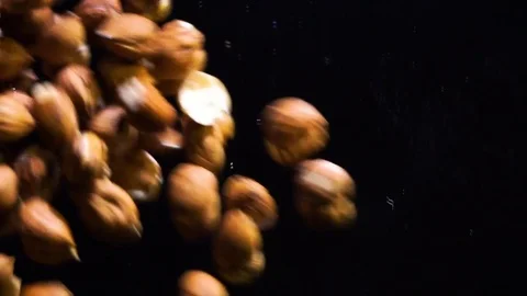 Hazelnuts falling on a hard black surface 스톡 동영상 81532568