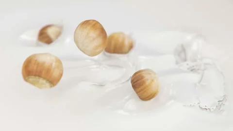 Hazelnuts Falling Into Milk in 4K Super slow motion Stock Footage 139144739
