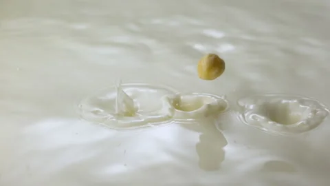 Hazelnuts falling in milk and splashing Stock Footage 149433389
