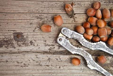 Hazelnuts (filbert) and nutcracker Hazelnuts (filbert) and nutcracker on o... Stock Photos