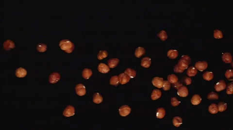 Hazelnuts fly on a black background (right to left) Stock Footage 59018009
