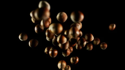 Hazelnuts flying pile of tree nuts bouncing against camera black background Stock Footage 106732933
