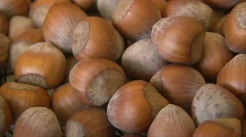 Hazelnuts 動画素材 17536034