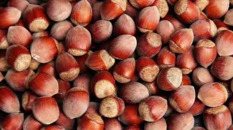 Hazelnuts Stock Footage 21316051