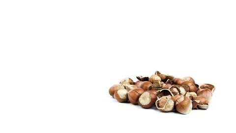 Hazelnuts Stock Footage 86528762