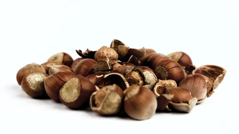 Hazelnuts Stock Footage 86533735