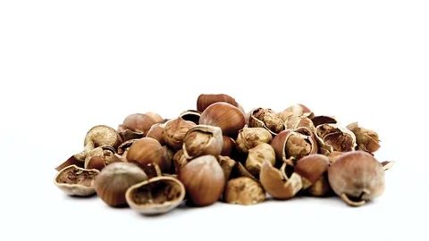 Hazelnuts Stock Footage 86576899
