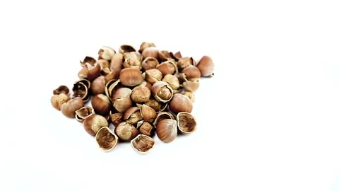 Hazelnuts Stock Footage 86580273