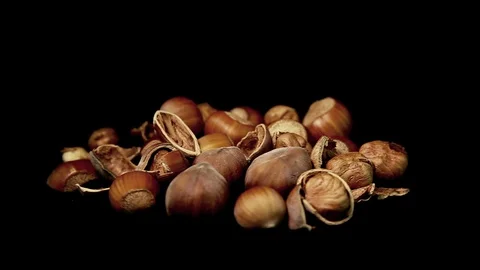 Hazelnuts Stock Footage 86759371