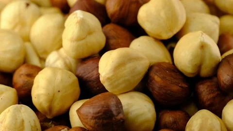 Hazelnuts Video stock 137592146