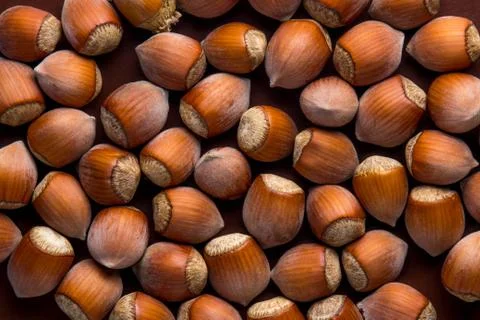 Hazelnuts in full screen. A lot of hazelnuts on a brown background. Stock Photos