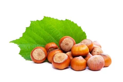 Hazelnuts with green leaf isolated on white background Stock Photos