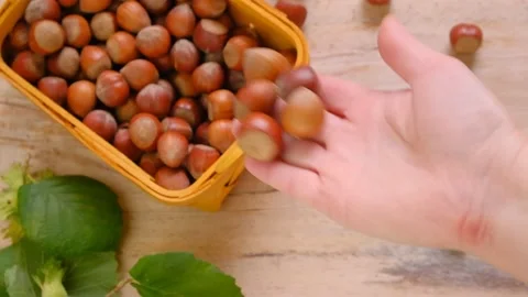Hazelnuts in a hand .hand pours into the basket. Video stock 237255730