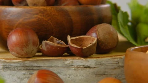 Hazelnuts harvest. Whole nuts close-up in a wooden cup on a wooden saw cut. Stock Footage 165229563