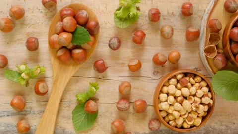 Hazelnuts harvest.Nut abundance. Stock Footage 168481946