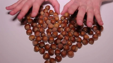 Hazelnuts Heart Stock Footage 73461623