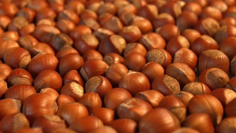 Hazelnuts. Horizontal pan. Close-up. Видео 69878881