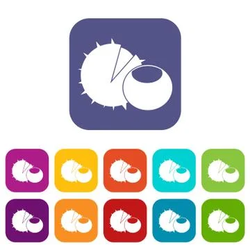 Hazelnuts icons set Stock Illustration