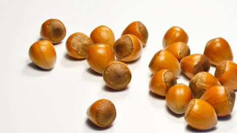 Hazelnuts isolated Stock Photos