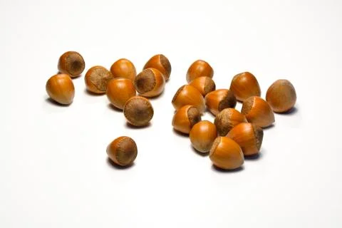 Hazelnuts isolated Stock Photos