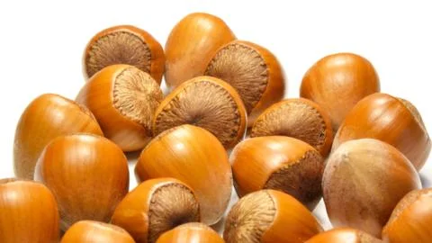 Hazelnuts isolated Foto stock