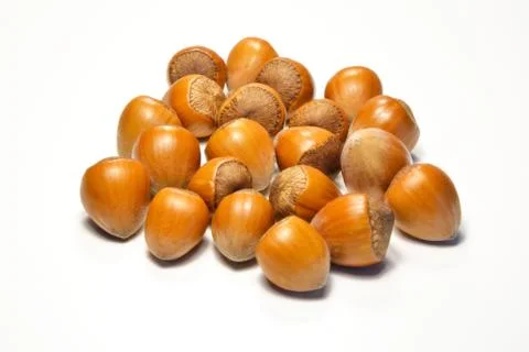 Hazelnuts isolated Stock Photos