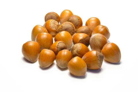 Hazelnuts isolated Stock Photos